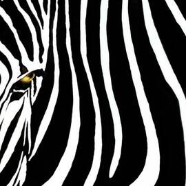 Zebressence by Dan Holm