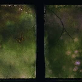 Zen Impression by Delphine Devos