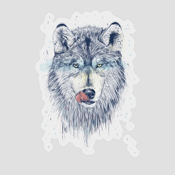 Gray Wolf Licking Its Nose Sticker